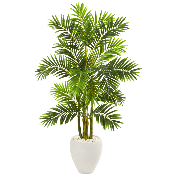 Bay Isle Home Artificial Palm Tree in Planter & Reviews Wayfair
